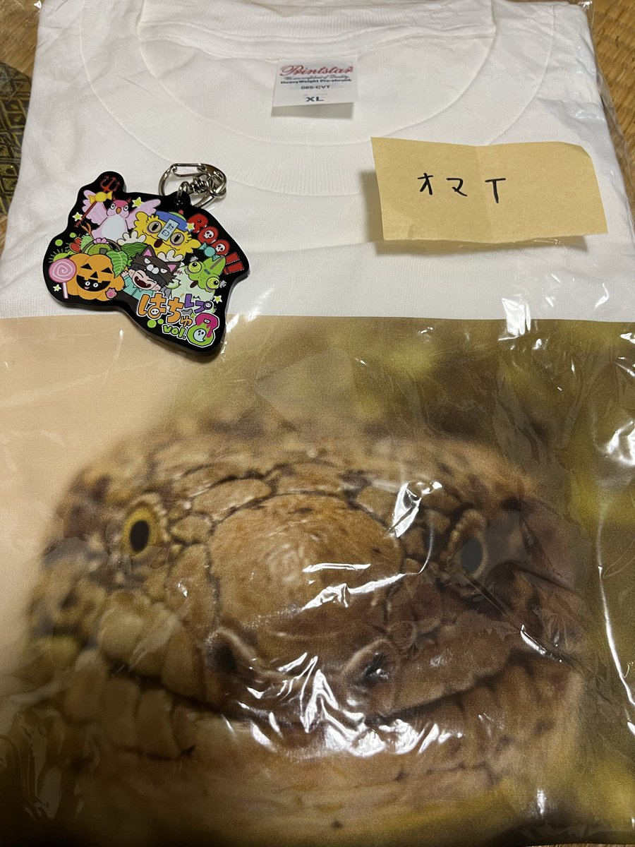 wickerman_VA's tweet image. はちゅレプ
ふじぴこさんではキーホルダー購入
くじでオマT!
汗だくでの対応ありがとうございました
ぐりーんはうす。さんで娘がときめいちゃったダンゴムシ
これ目的と言っても過言ではないモンティクリストサンド!
楽しかったー
#はちゅレプ
#ふじぴこ
#ぐりーんはうす
#CAFEBERRYS