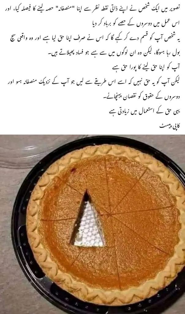 جیسا فارم نمبر 47غیر قانونی طور پر مسلط کر کے لٹیروں کی حکومت بنائی گئی