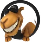 Aquí esta otro de nuestros fijos de hoy Domingo
22 Camello fijooooooo
+584127459446
Jason el insuperable de los animalitos