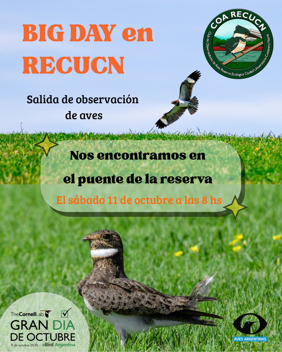 Venite a pasar una hermosa mañana por la costanera y darle la bienvenida a las aves estivales:
Churrinche, Suirirí Real, Tijereta....
O también un Ñacunda como los vistos en las fotos del flyer sacadas por Matu Popoff e Ivan Eroles🐦‍🔥
Y vos, ya los tenes en la pokedex?🦚