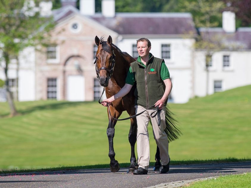 An Aga Khan Studs success story as Daryz lands the Prix de l'Arc de Triomphe.

The operation's homebred is by an Arc winner, its Gilltown Stud resident Sea The Stars📸, and is a half-brother to Group 1 scorer Dariyan out of the top-class Daryakana