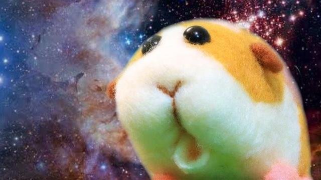 이앗낫...! 스마나이...! 소비장르는 언급만 주로해서...! 타이밍 안 맞으면 충분히 모를 수 있어...!