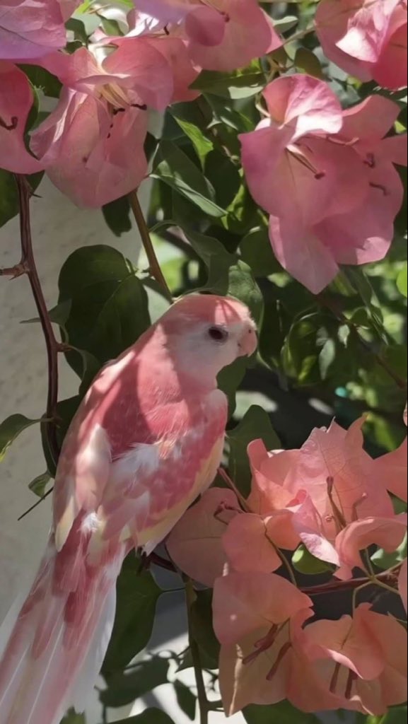 Birds of a feather, we should stick together, I know.