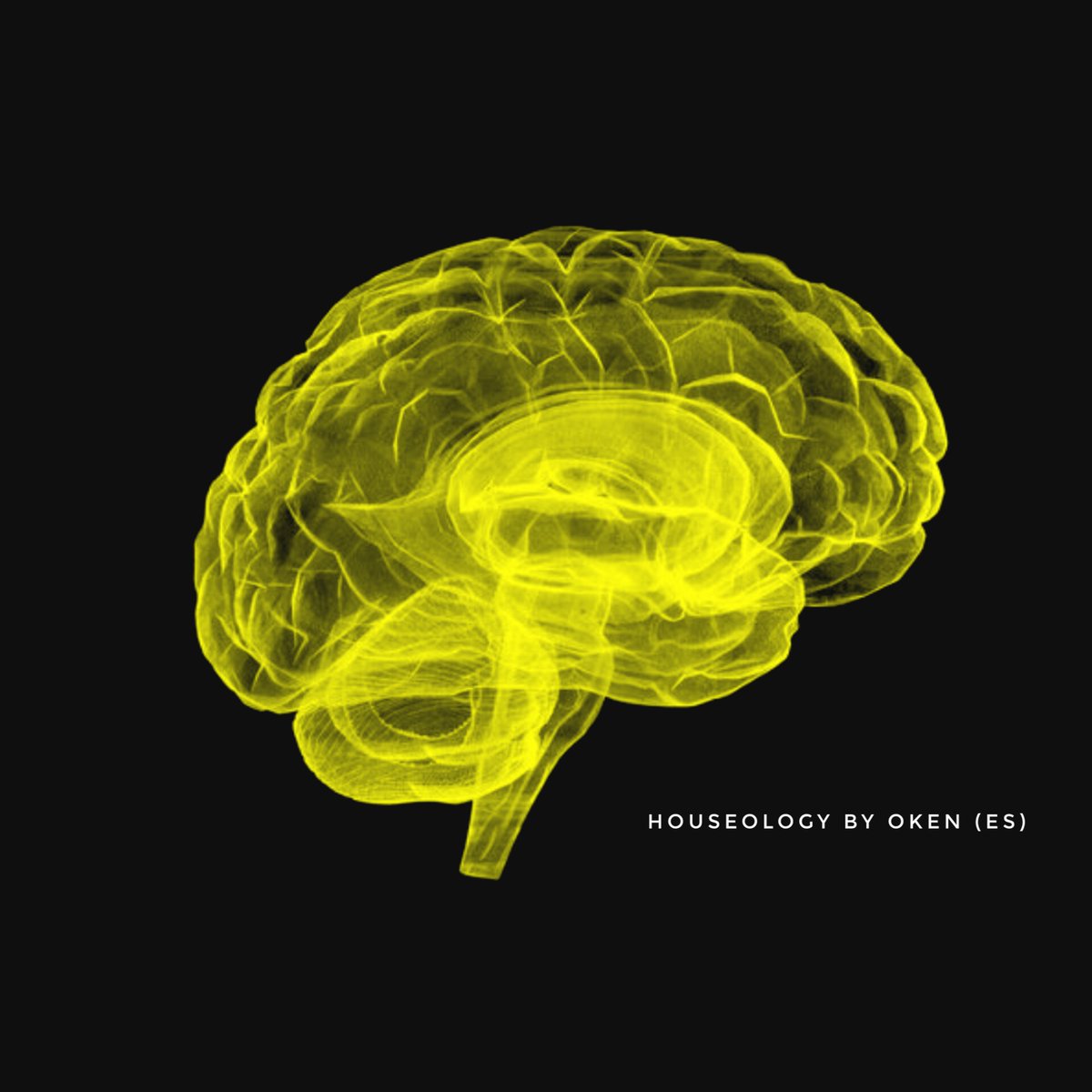 Houseology the best Therapy 

Escucha Houseology By OKEN (ES), un álbum de O K E N  ( E S ) en #SoundCloud
on.soundcloud.com/jhXIWUI41AbYmD…