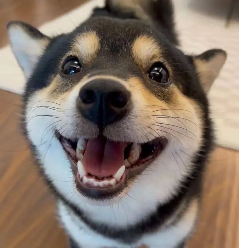 <a href="/binance/">Binance</a> The smile of unconditional love for #Binance