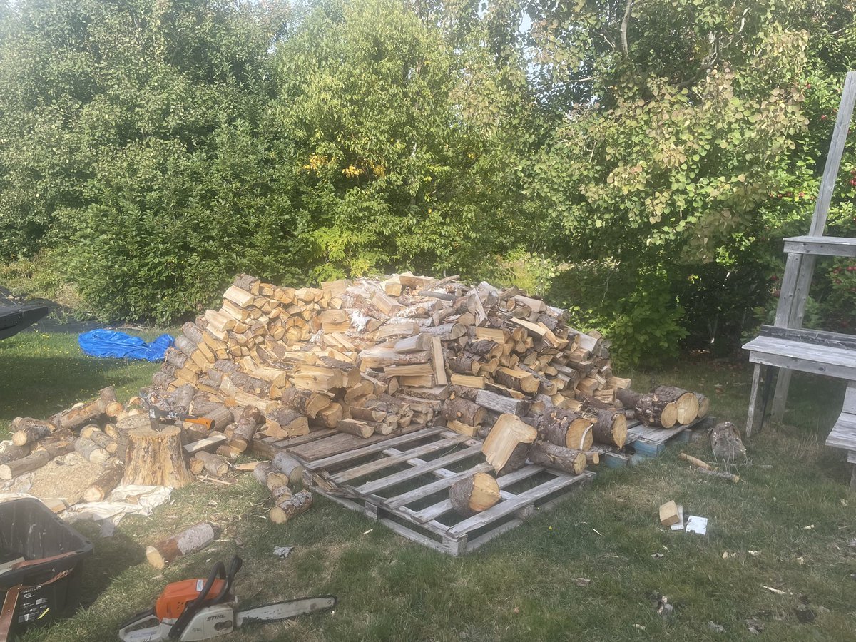 Almost half done. I have thought about a log splitter, but there is something so satisfying about chopping wood by hand.