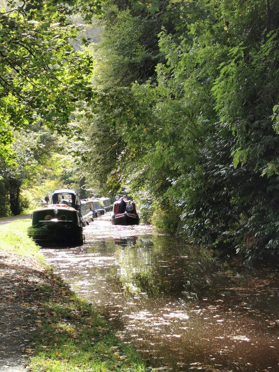 Katharine Skellon tweet media