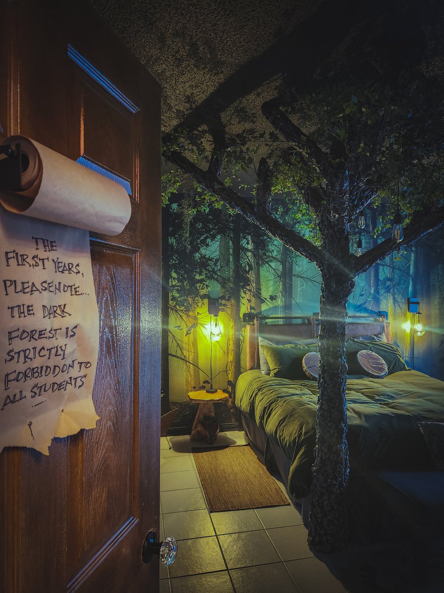 UnmanagedMedia's tweet image. Took the wife to a Harry Potter themed Airbnb for her birthday. This place was pretty fucking cool!