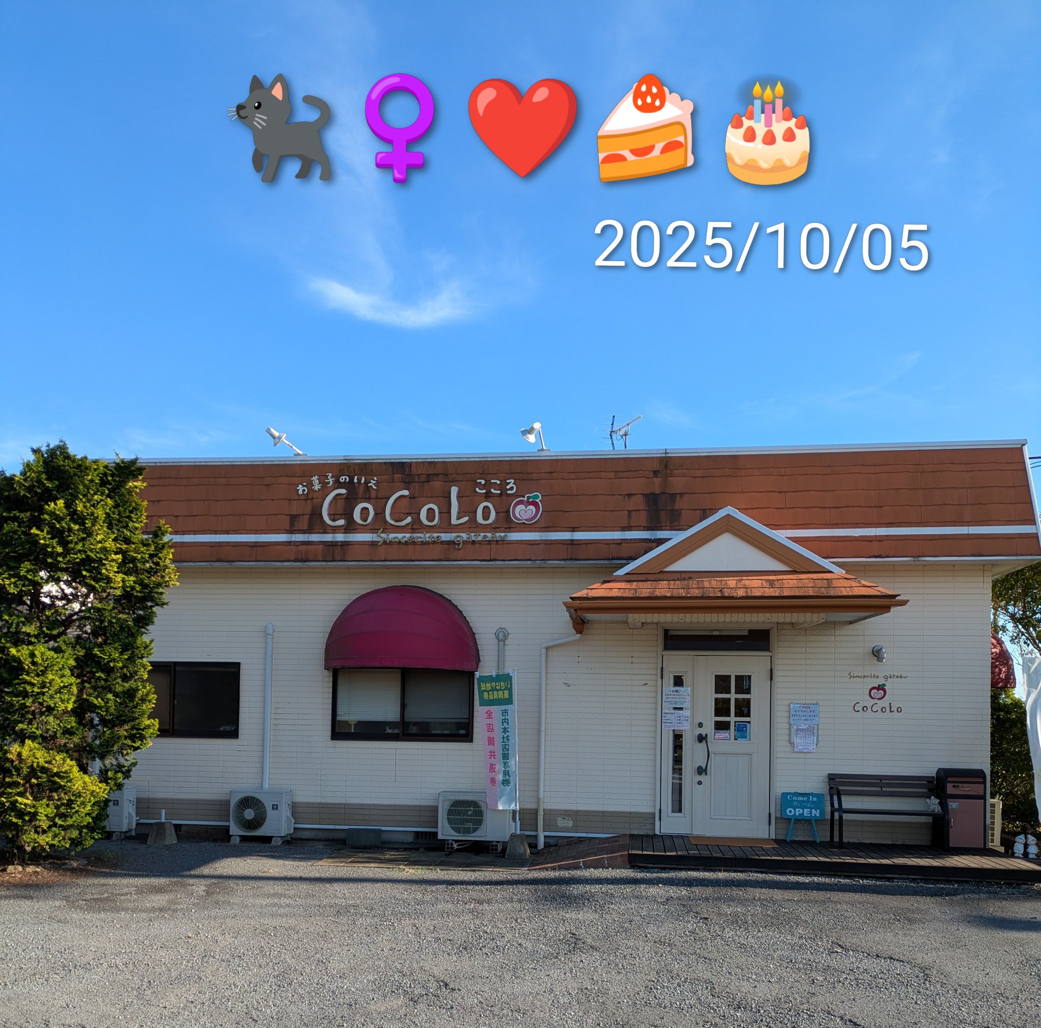 KOKORO❤️ 様專用 10本 【公式通販】