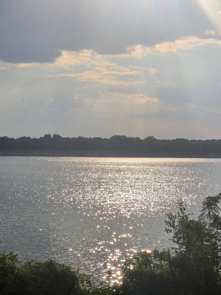 그대같은 걸 참 예쁘게도 담아 찍었네요