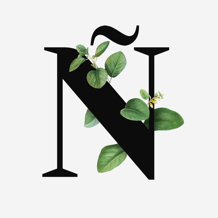 Subjetivamente Real...

“Hace poco leí que “sin la letra Ñ no existiría el 𝐞𝐬𝐩𝐚𝐧̃𝐨𝐥”, porque sin la Ñ no se podría 𝐬𝐨𝐧̃𝐚𝐫, no se podría 𝐞𝐱𝐭𝐫𝐚𝐧̃𝐚𝐫, no existiría el 𝐜𝐚𝐫𝐢𝐧̃𝐨, ni el 𝐨𝐭𝐨𝐧̃𝐨 y no pasarían los 𝐚𝐧̃𝐨𝐬, ni existiría un 𝐦𝐚𝐧̃𝐚𝐧𝐚 con