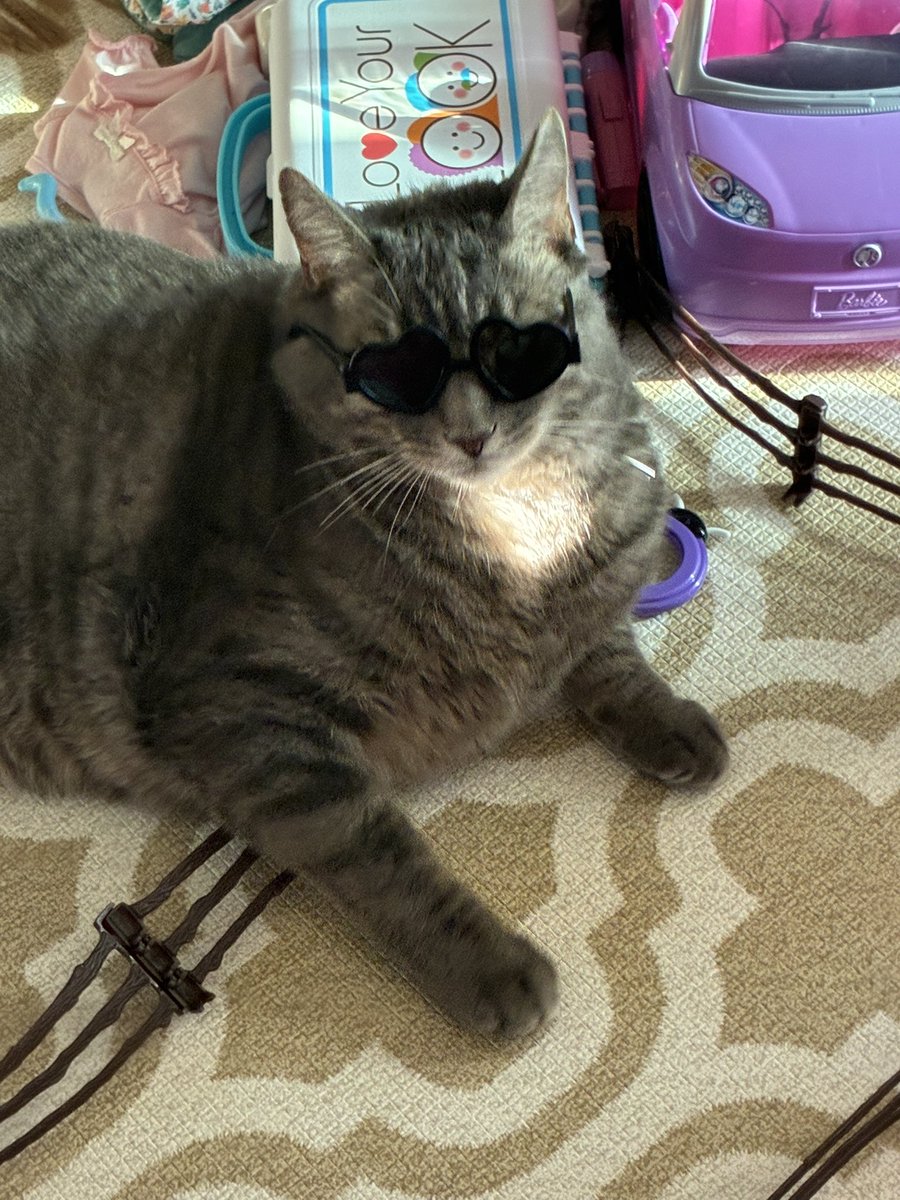 Jordan Serbus tweet media