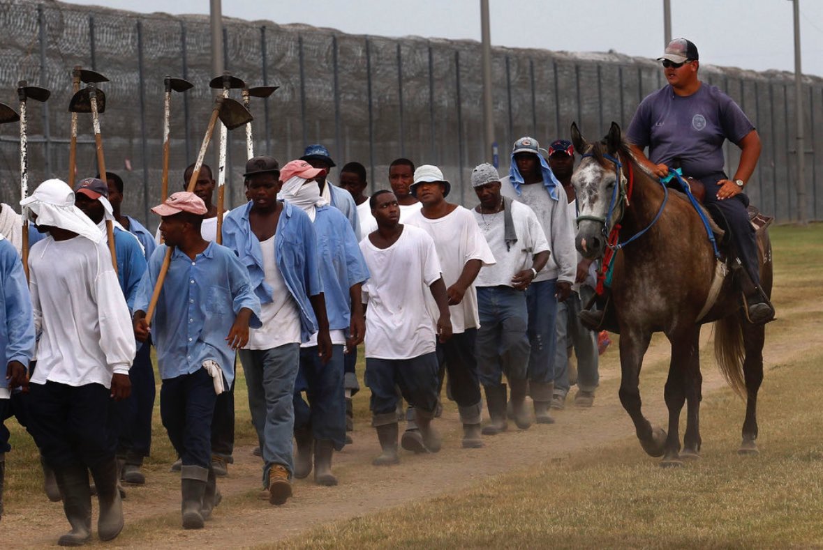 NoFlagsFilm's tweet image. Kyren Lacy would have been sent to Angola prison, a former plantation that still forces inmates to pick cotton and doesn’t have AC. He was facing decades in one of the most brutal prisons in America for witnessing a wreck. Shit is enraging