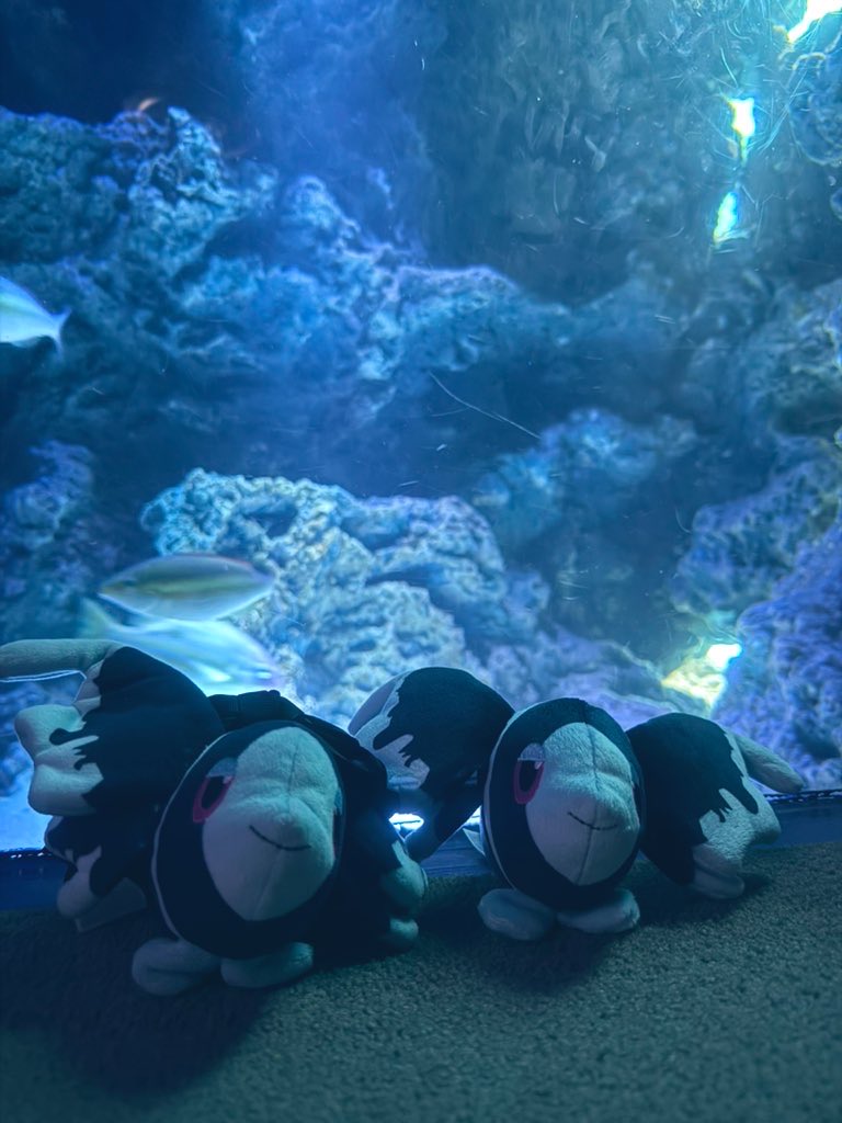 🐟👾よっぴ〜👾🐟 on X