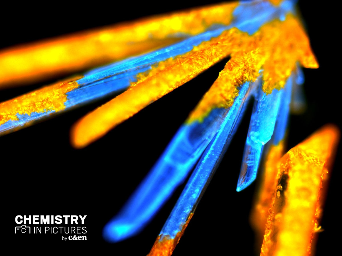 Congratulations to #CENChemPics September winner <a href="/prodiptasammad1/">PRODIPTA SAMADDER</a>, whose research focuses on using responsive crystals like this one to make new sensors and electronic materials: cen.acs.org/analytical-che…

Enter our contest: cen.acs.org/collections/ch…