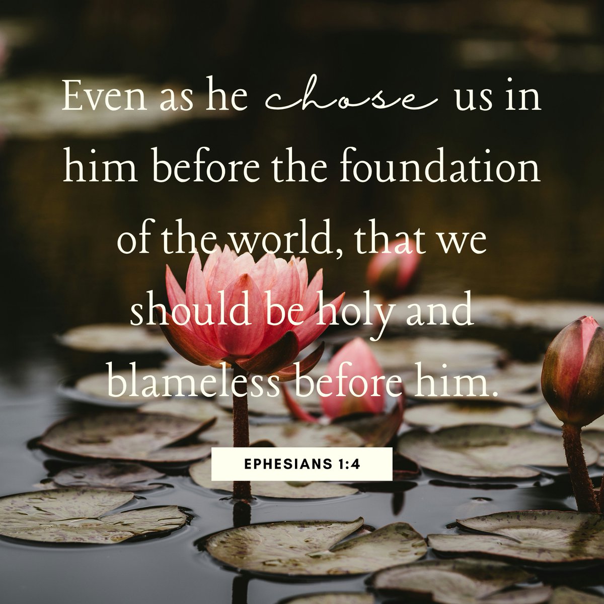 City Rescue Mission (@crmjax) on Twitter photo Scripture Sunday Scripture Sunday