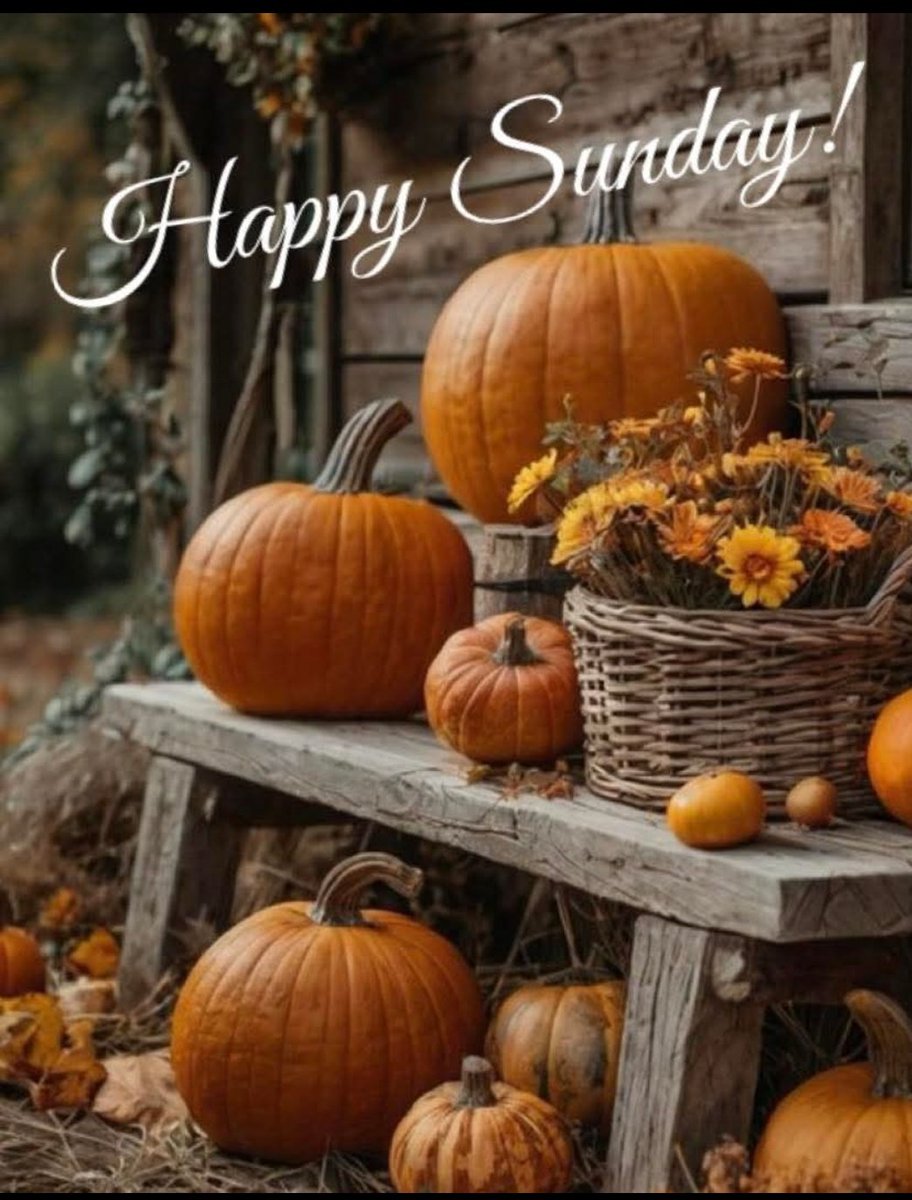 Have a great Sunday! Enjoy 🇺🇲🙃☕️🇺🇲💯