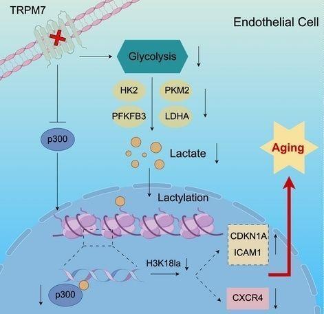 👋Channelomics.bsky.social👋 tweet media
