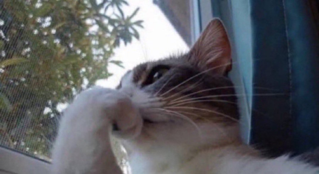 مساء الخير 🌹

مساء الاحد …… أكمل الفراغ ؟🌚