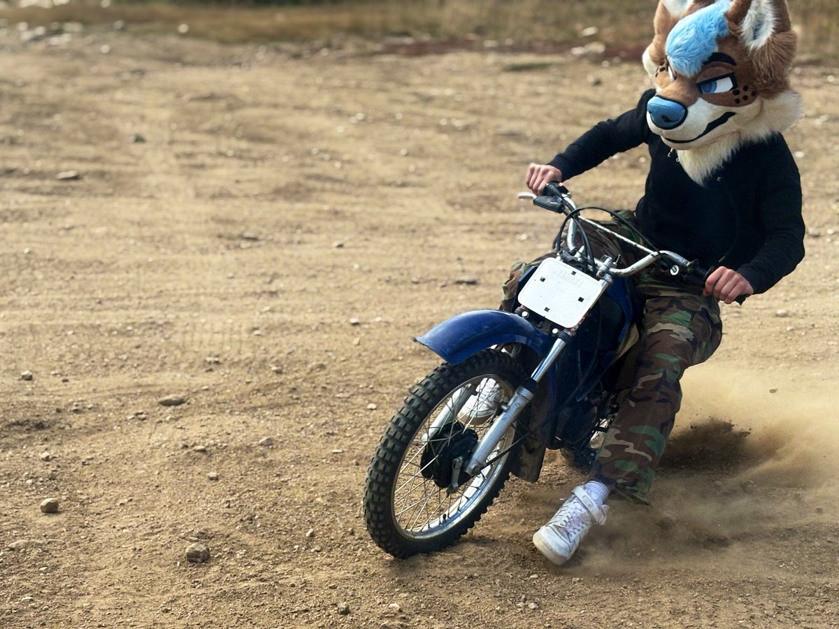 They say I’m the fastest dog around 🐕🏍️💨