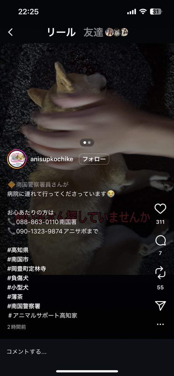 迷子 ページ しめじ❣️ainek_o (@ade6C0sQCDnE9YV) / X