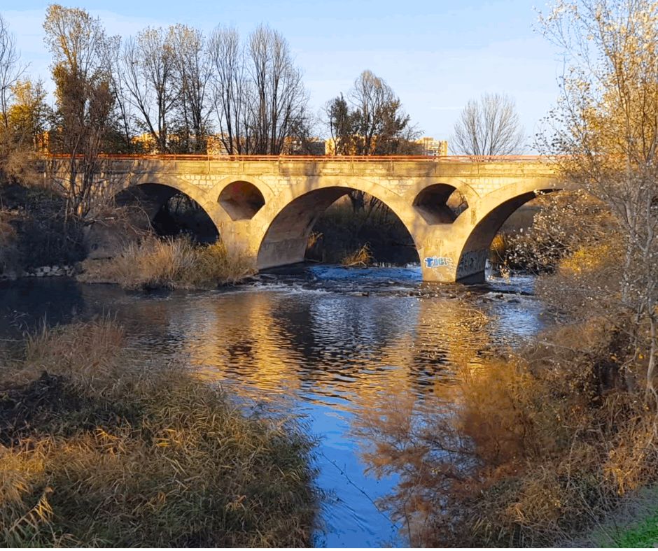 Foto cedida por Ayuntamiento de Alcalá 
