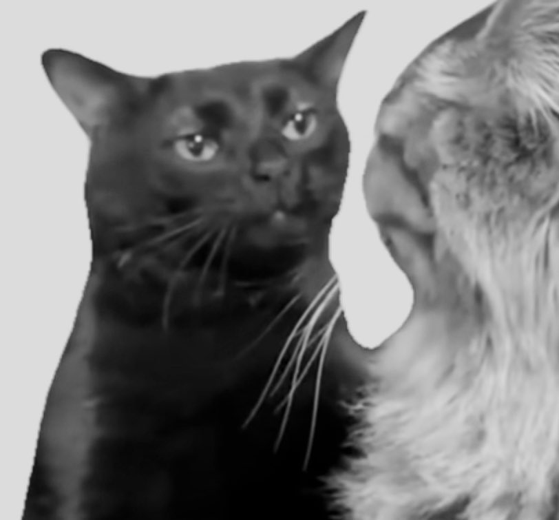 goodwraith's tweet image. feeling…