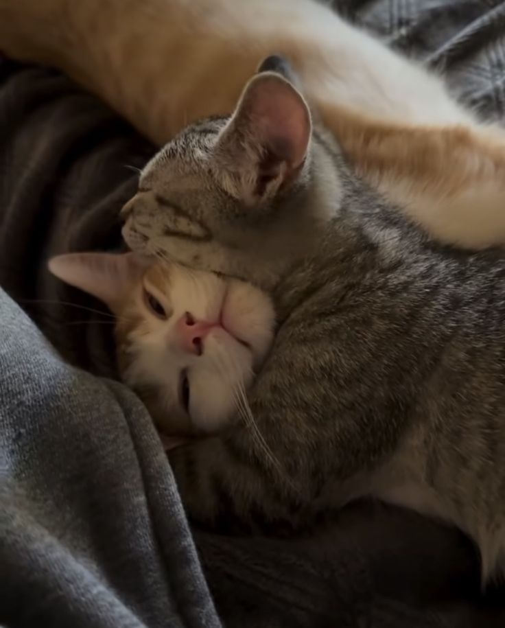 Lovely couple