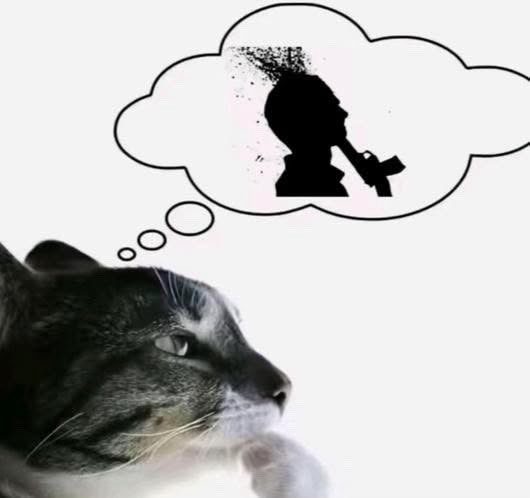 finally experiencing the prime stupidity of twitter