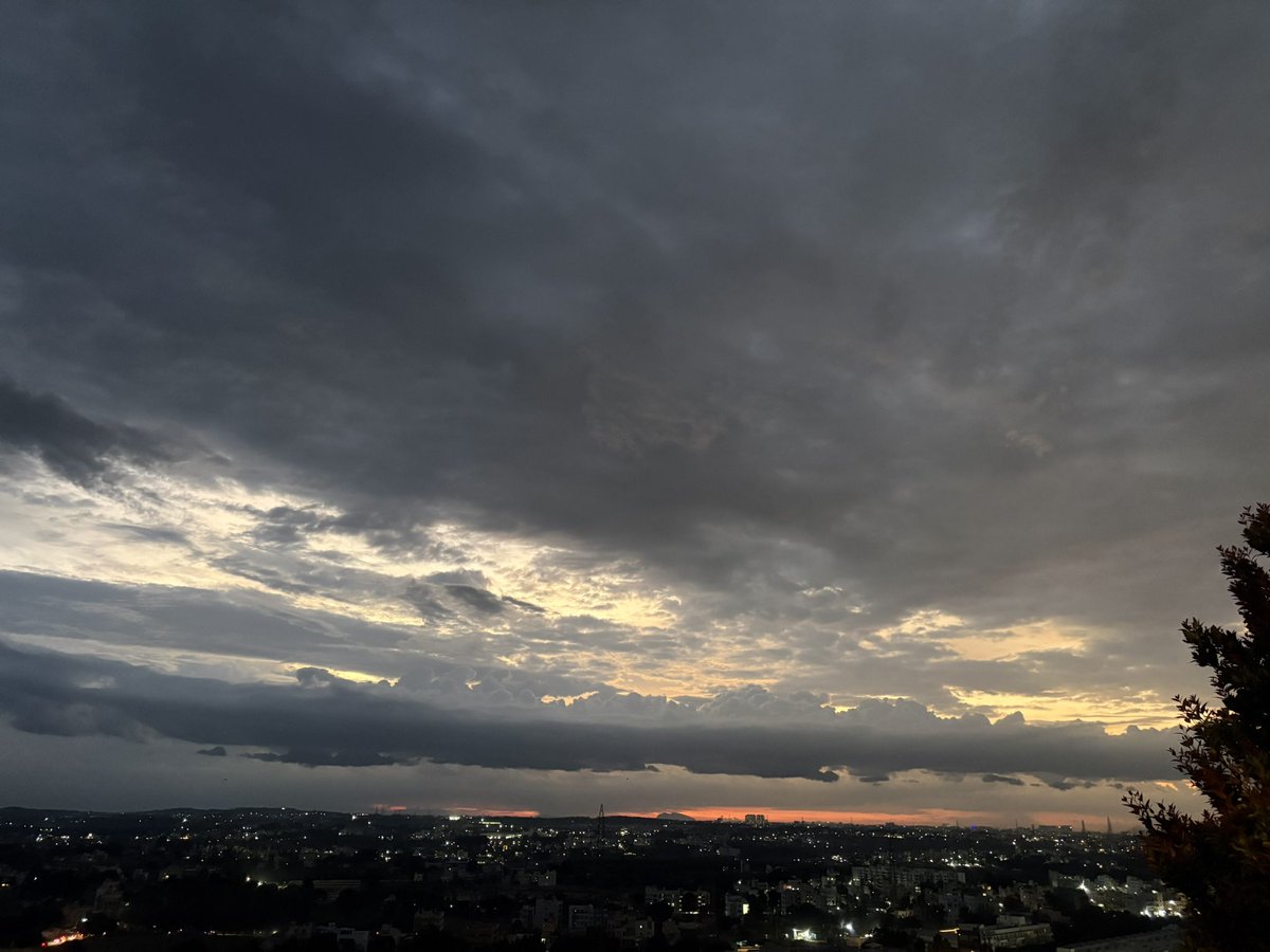 lassiecoder's tweet image. ☁️🧡