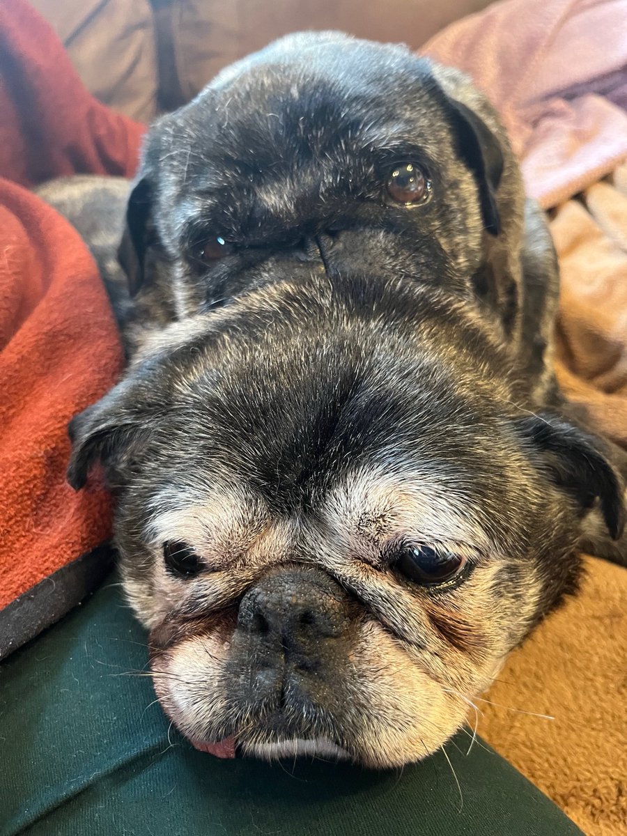 Sunday afternoon snooze, cuddling up to mum.