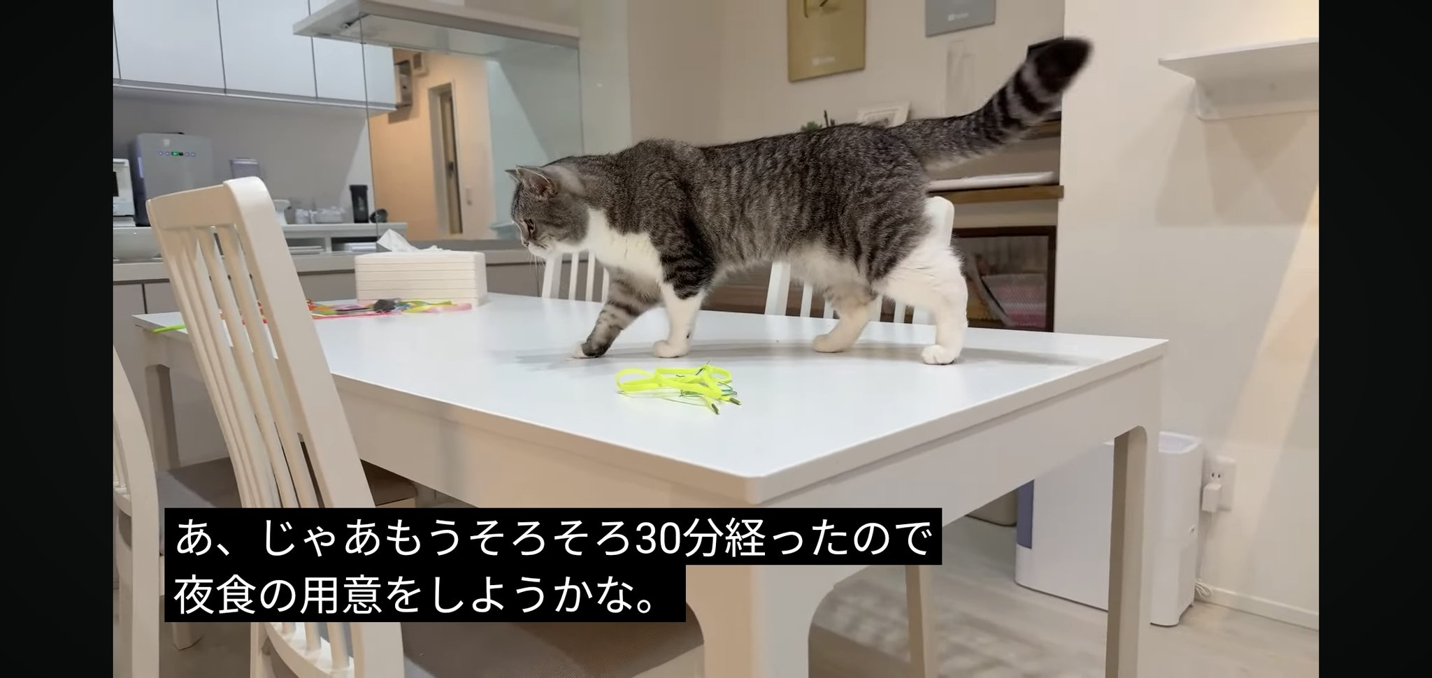 もちまるプロフィール必読 iPhone画面交換 もちまるプロフィール必読 iPhone画面交換 もちまるプロフィール