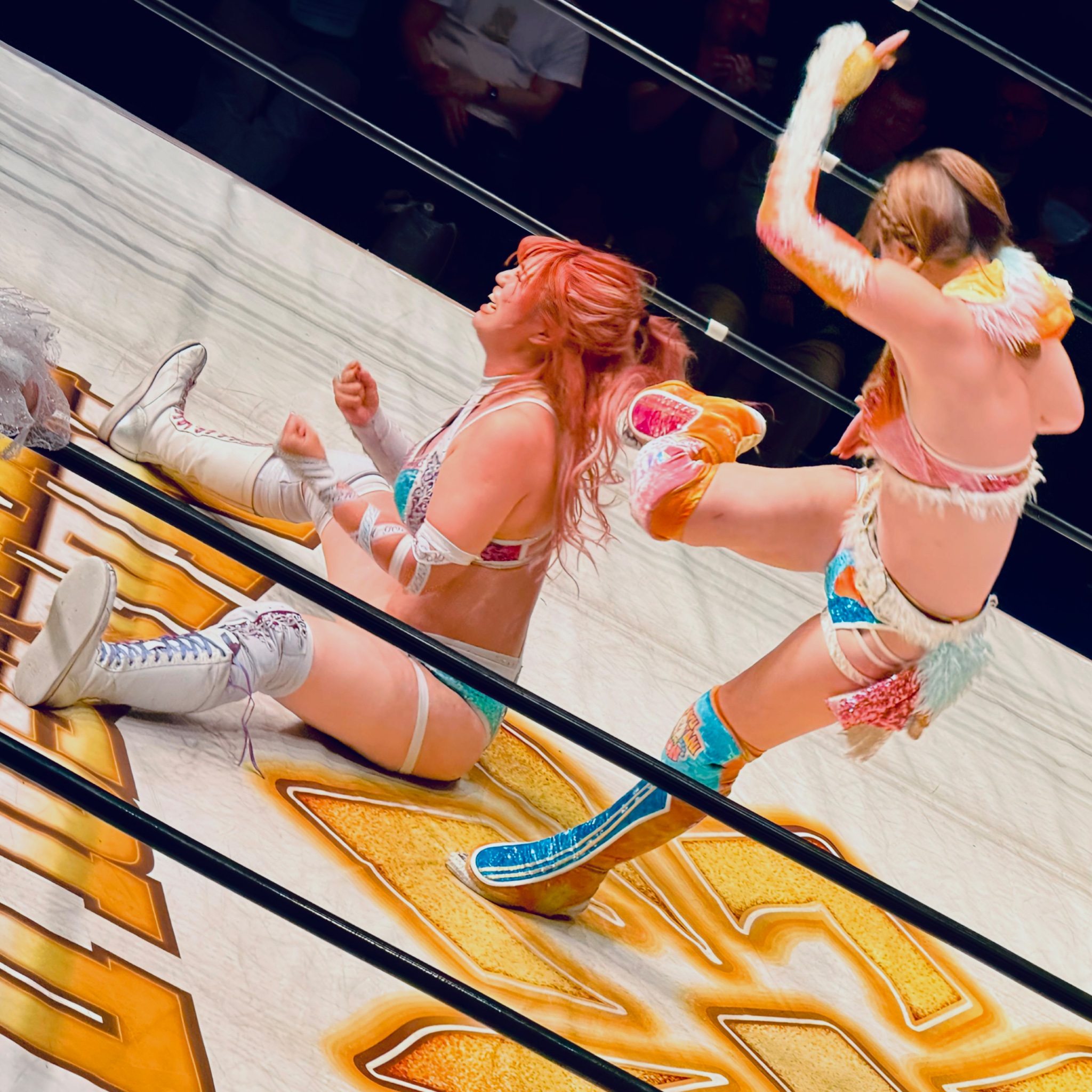 龍月-DragonMoon- on X: 