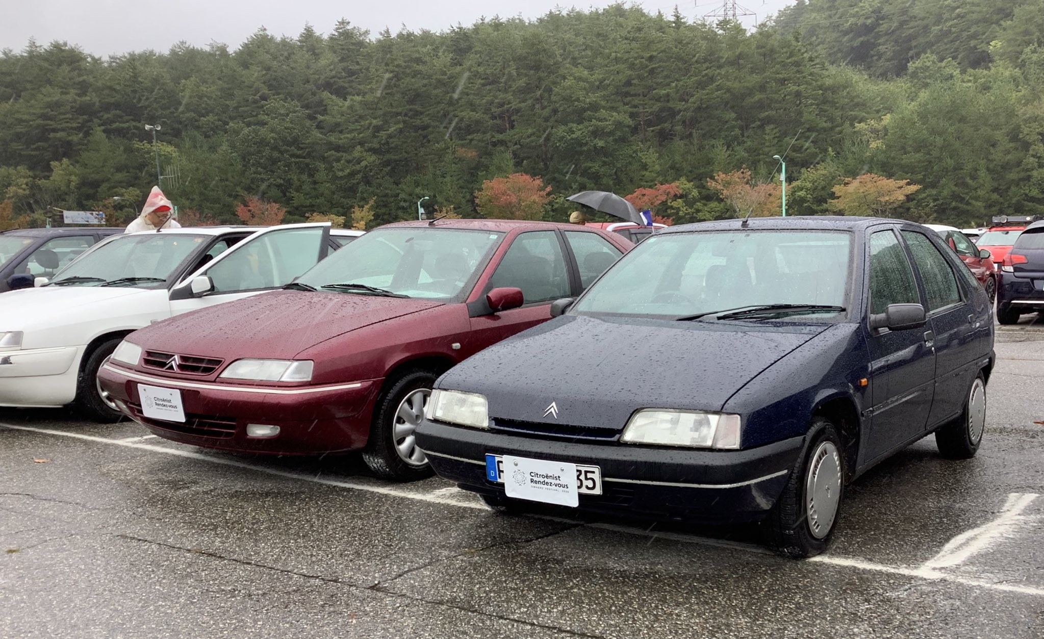 A14激安早い者勝ち✨　SHIRE BLX88 JB / BLX2 JB 1本 A14激安早い者勝ち✨ SHIRE BLX88 JB / BLX2 JB 1本