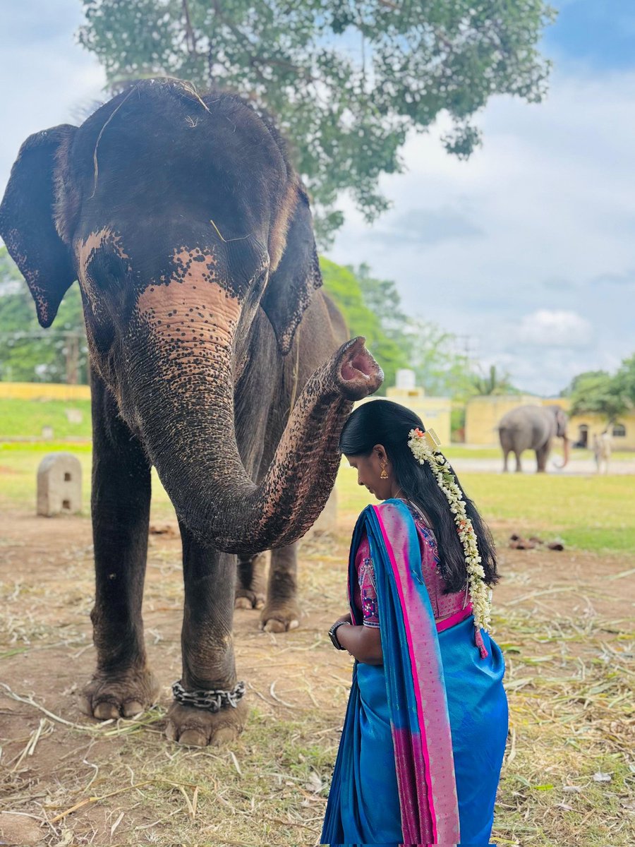 Rekha Srinivas tweet media