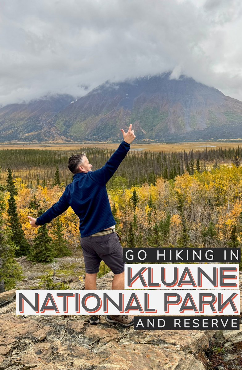 IntrepidEscape's tweet image. | The Yukon | 🇨🇦 

What an unbelievable place! The final 3 of my top 10 MUST DO’S from an epic few days. Yes we did all this in just a few days! 😍

Which is your favourite? ⬅️

👆Tap photo to expand👆

Ad #ExploreCanada #ExploreYukon #Canada