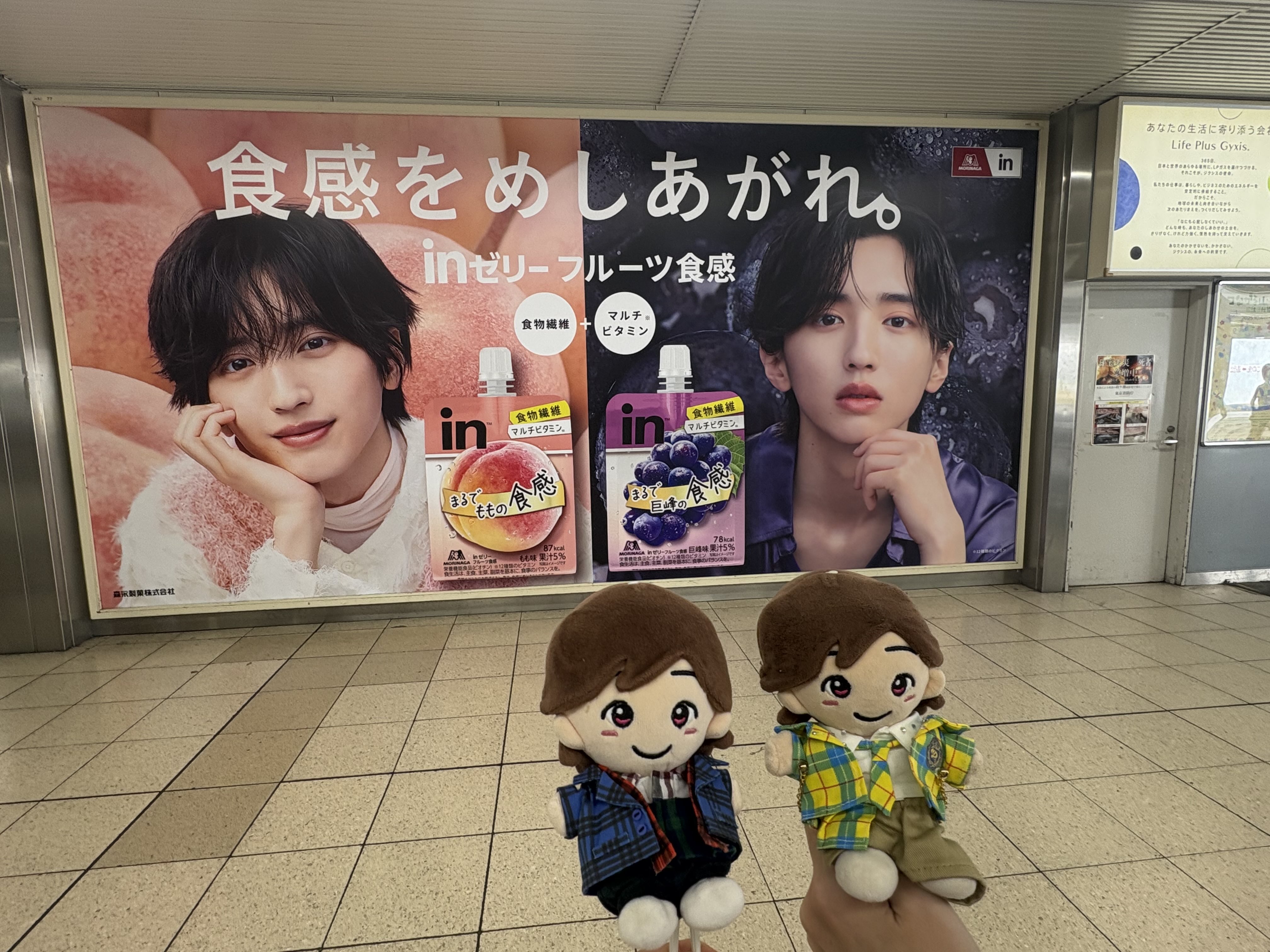 フルーツinゼリー - Search / X