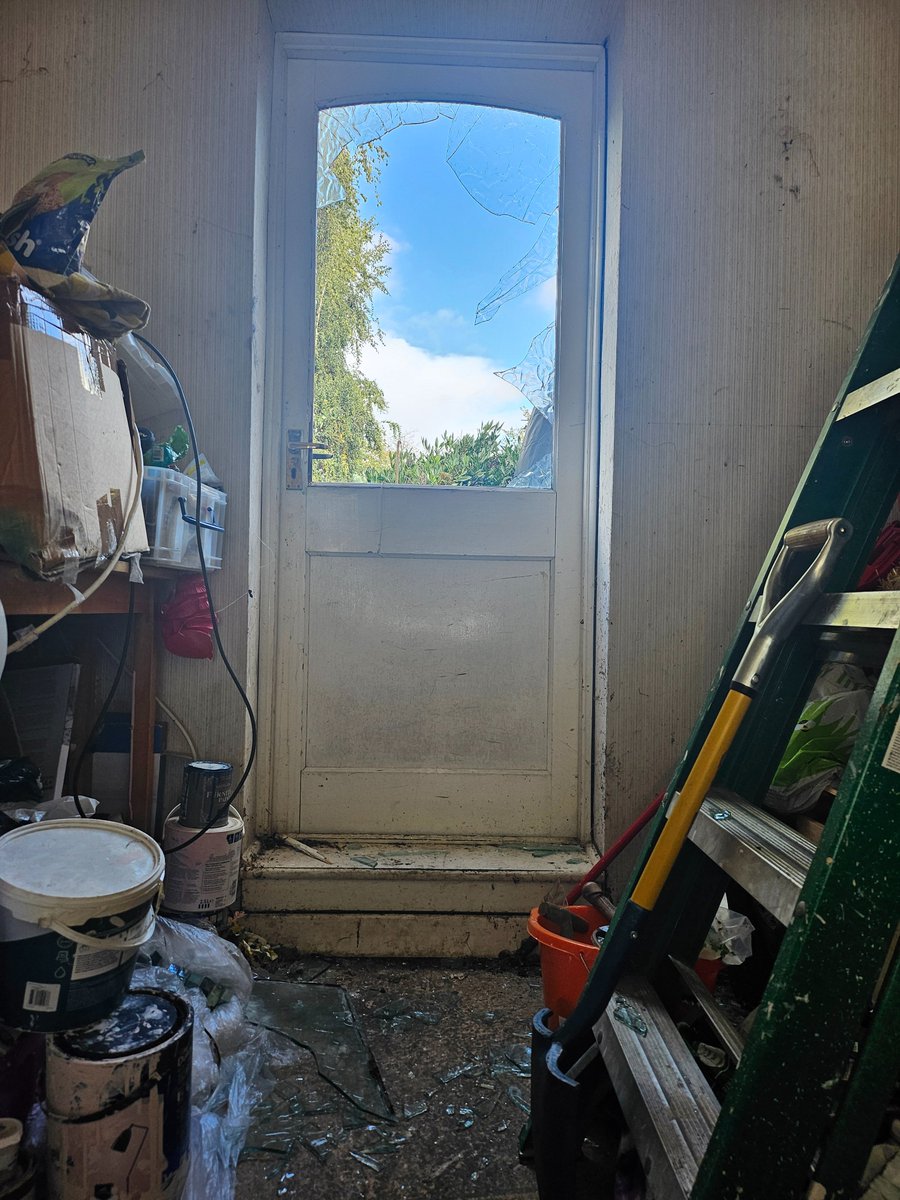Yesterday the little black neighbourhood cats saved my life. I was standing in my garage with the back and front door opened and a gust of wind slammed the door smashing all the glass in the door spreading all the glass in the air and down towards the middle of the garage.