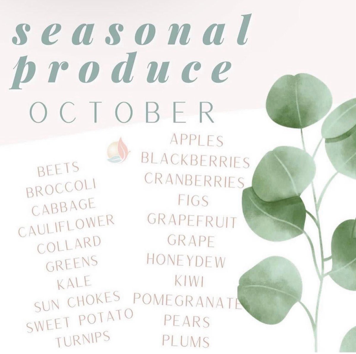 DrNirvana's tweet image. Your body will feel better and absorb more nutrients from these foods as they also have the highest nutritional value during their peak Season! 

 #eattothrive #seasonalfoods #fallfoods #foodlist #holisticeating #nutritiontip #nutritionadvice #thyroiddiet #hormonehealth
