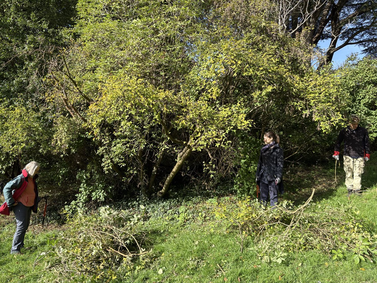 Jane Solomons tweet media