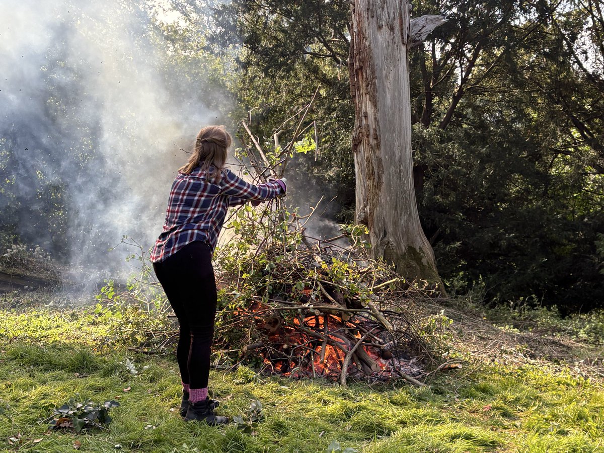 Jane Solomons tweet media