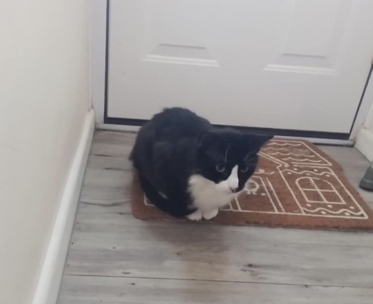 Lorcana Villain tweet media