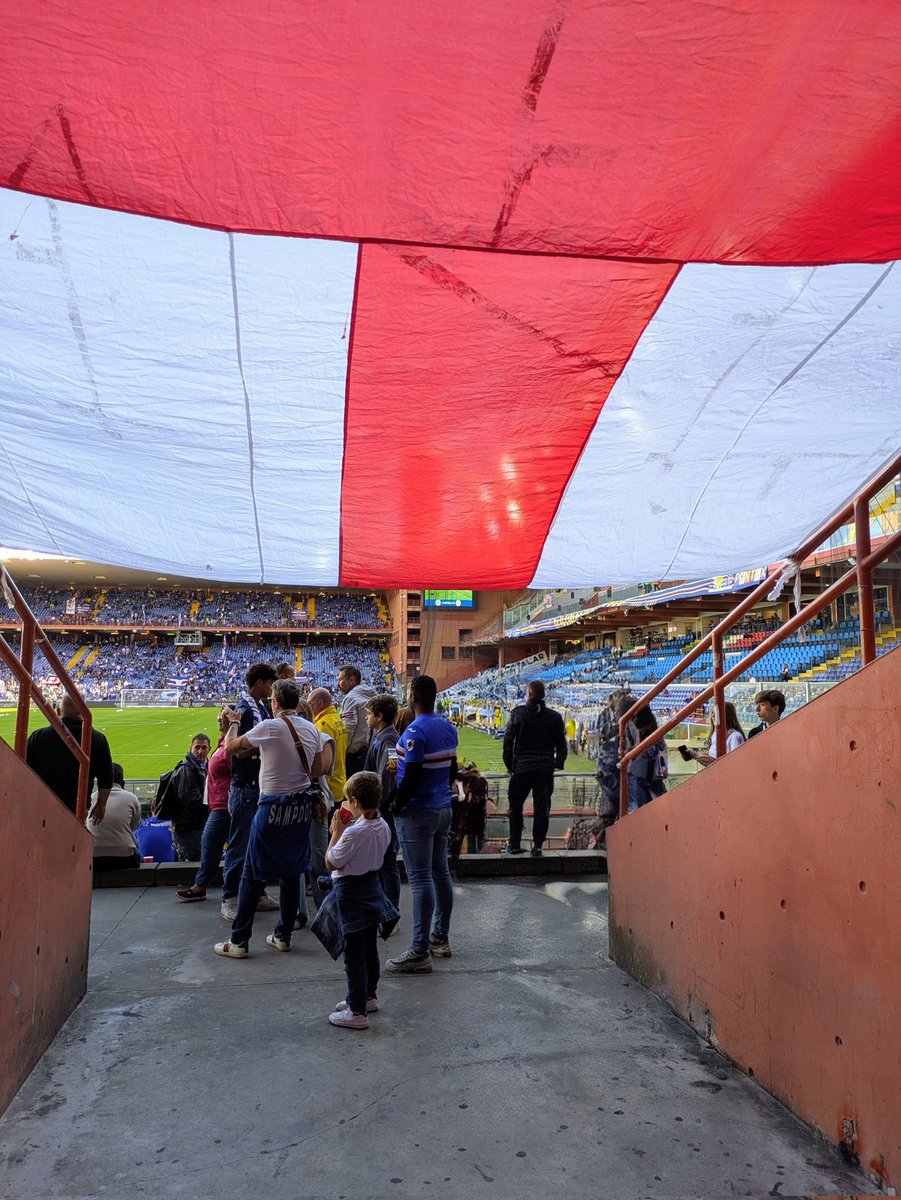 StephenMurray87's tweet image. #ForzaDoria 🔵⚪🔴⚫⚪🔵 #SerieB 🇮🇹