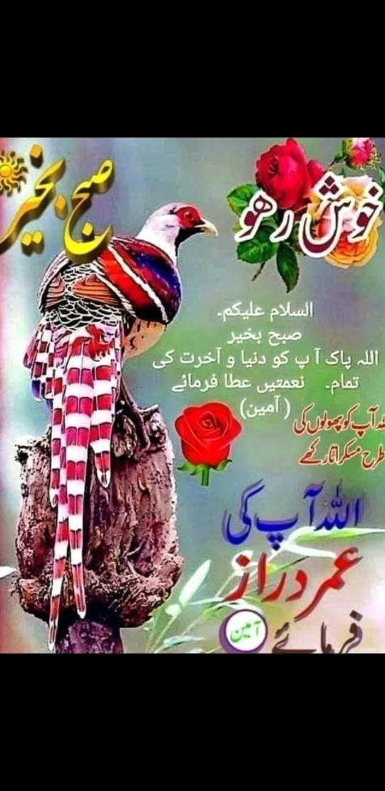 Dr. Raja (@drrdilbar) on Twitter photo 