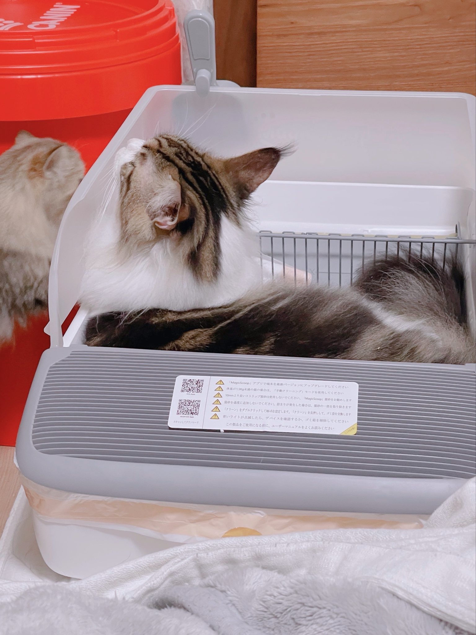 購入前に連絡下さい★猫飼ってます•*¨*•.¸♬︎ 楽天市場】☆【限定40%OFF！クーポン後は6,048円！】自動給餌器