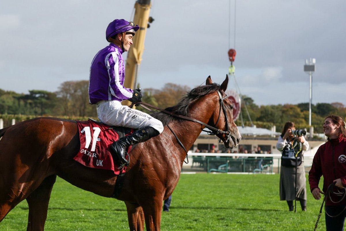 A picture sometimes paints a thousand words. Heartbreak in the Arc for Minnie Hauk. #QPAT