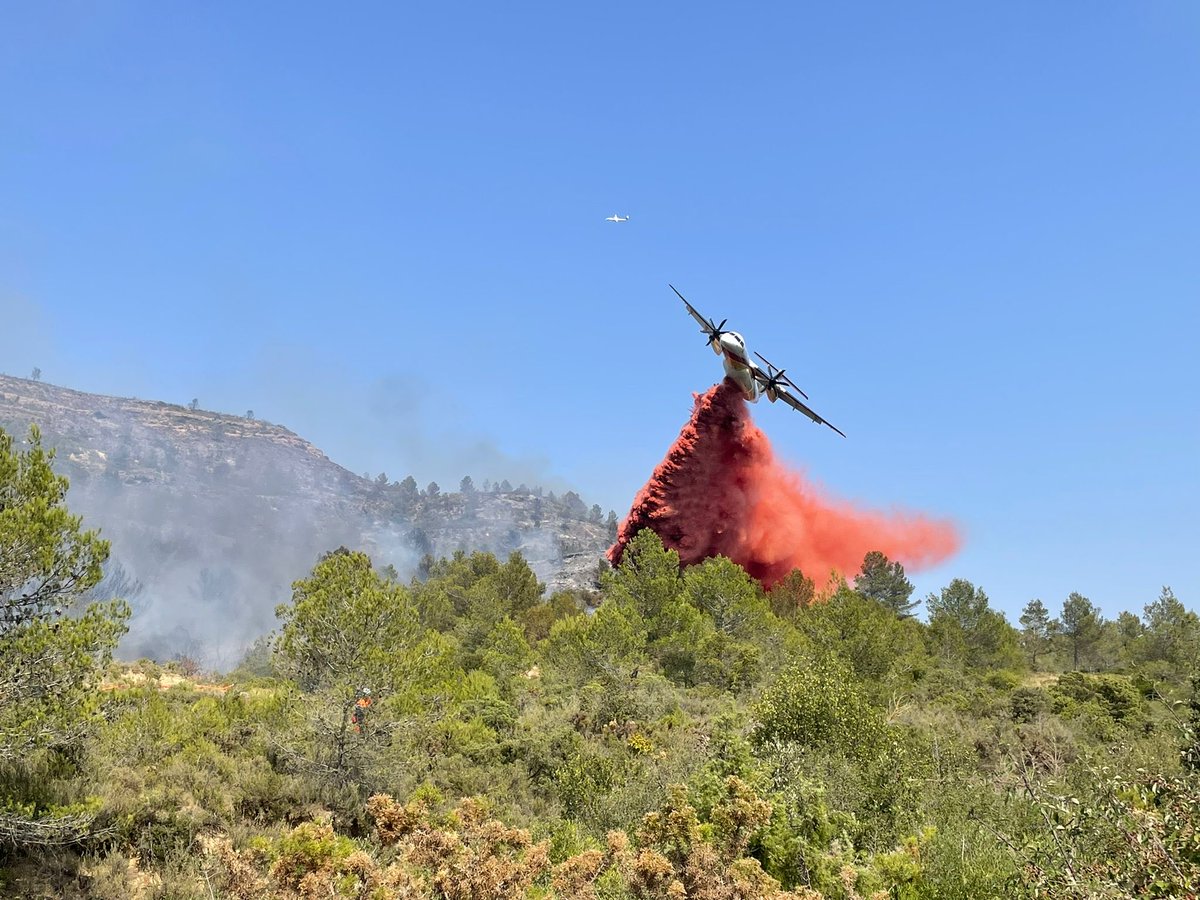 SecCivileFrance's tweet image. 🔥🌲 #FeuDeForêt en Haute-Corse (2B) | Depuis quelques heures, plusieurs feux de forêt touchent la Haute-Corse et mobilisent plusieurs dizaines de sapeurs-pompiers des #SIS2B et #SIS2A. 
✈️ 1 Dash et 2 Canadair sont venus en renfort des équipes au sol. 
La brigade des militaires…