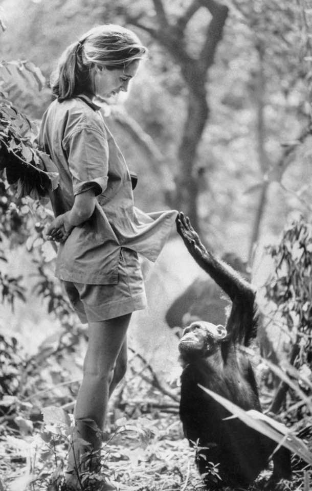 🌍  The Sunday Story - Faces of Change! - mailchi.mp/thetrashpunx/1…