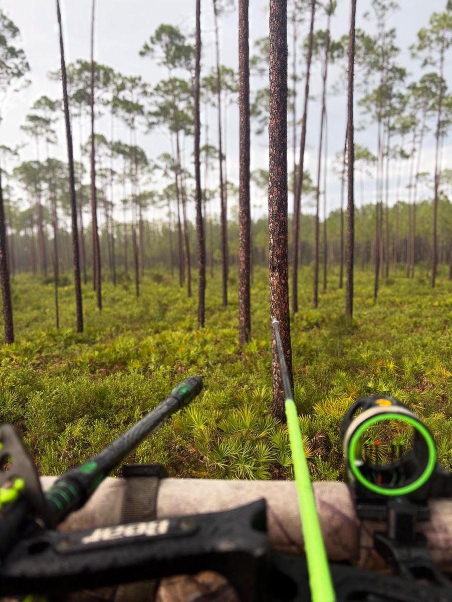 SummitTreestand's tweet photo. Sunday are for #ViewFromYourSummit π³
Awesome view (weston_johns9/IG) https://t.co/jL0Hb4YvaN