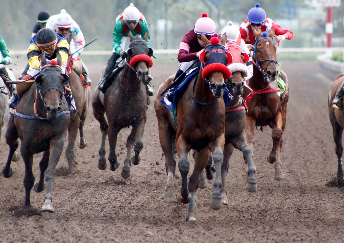 JesusP1mentel's tweet photo. Gracias Mi Dios 🏁🙏🏇 https://t.co/53f5XcI0nN